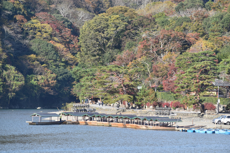 秋の渡月橋_紅葉に染まる嵐山