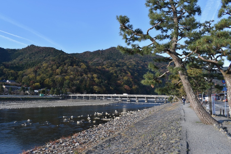 秋の渡月橋_紅葉に染まる嵐山