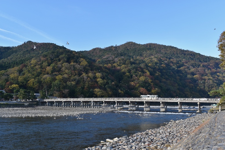 秋の渡月橋_紅葉に染まる嵐山