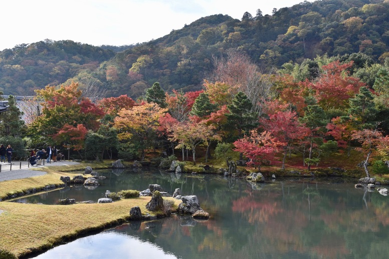 秋の京都・嵐山の天龍寺_方丈から眺める曹源池庭園