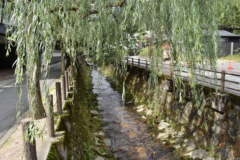 城崎温泉ぶらり旅_温泉寺と温泉街の風景_川の流れ