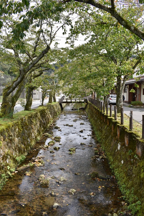 城崎温泉ぶらり旅_温泉寺と温泉街の風景_川の流れ