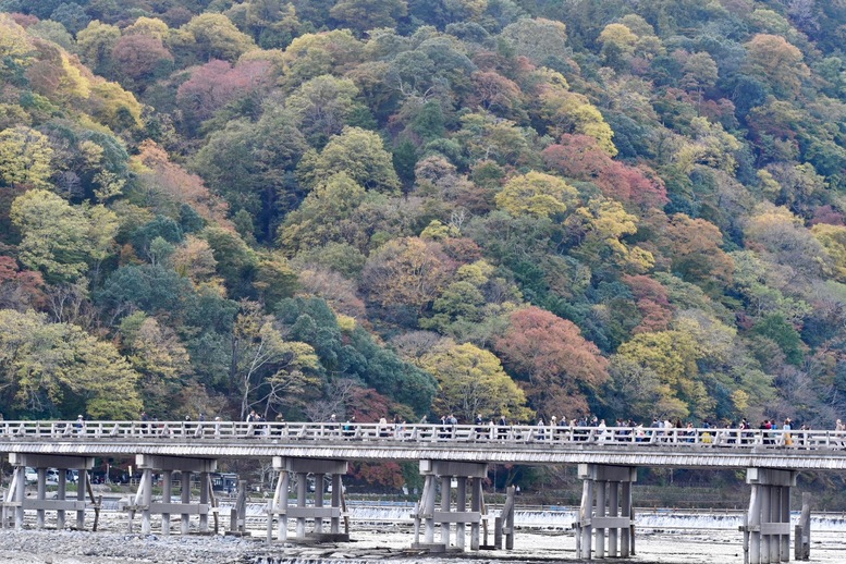 秋の渡月橋_紅葉に染まる嵐山