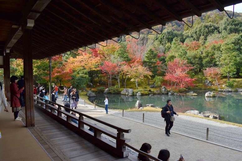 秋の京都・嵐山の天龍寺_方丈から眺める曹源池庭園