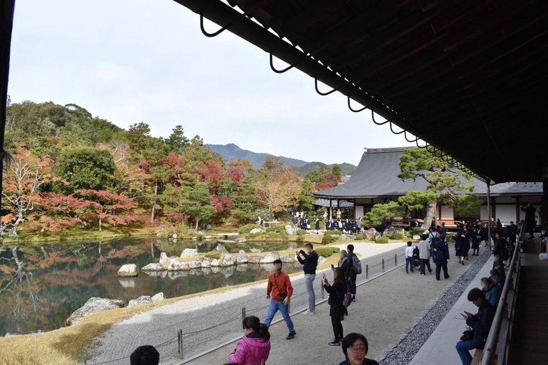 秋の京都・嵐山の天龍寺_方丈から眺める曹源池庭園