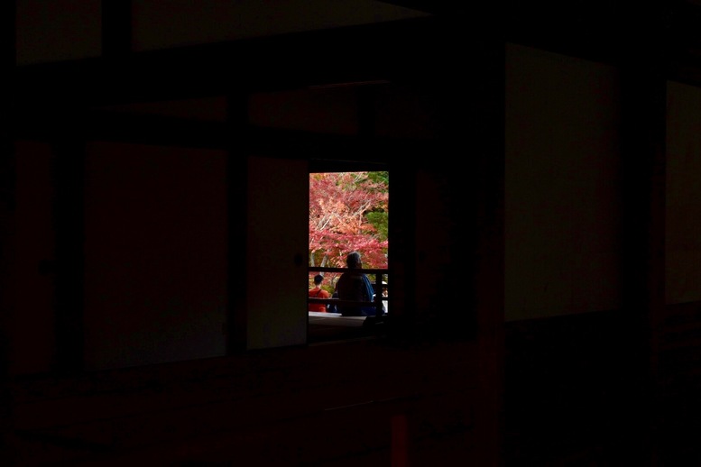 秋の京都・嵐山の天龍寺_方丈から眺める曹源池庭園
