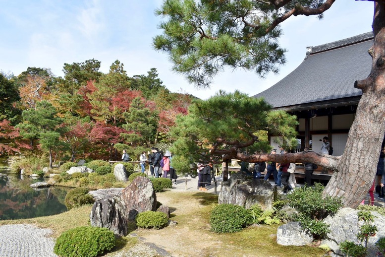 秋の京都・嵐山の天龍寺_曹源池庭園の紅葉