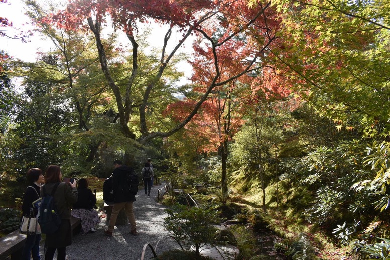 秋の京都・嵐山の天龍寺_百花苑の紅葉
