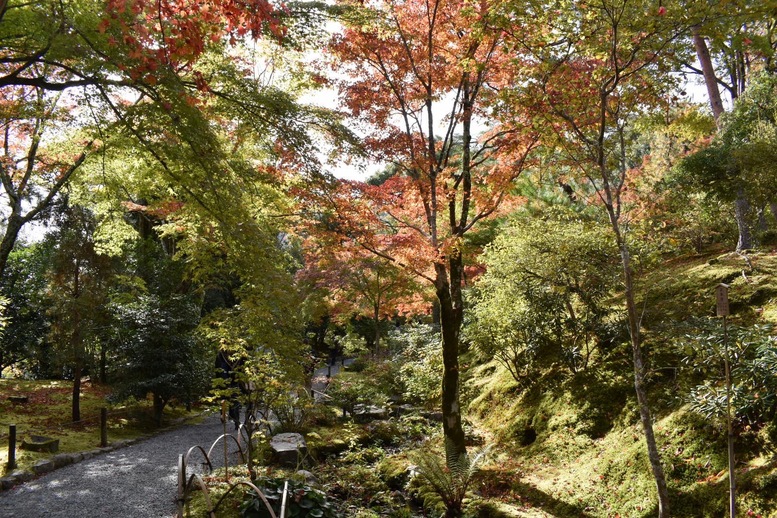 秋の京都・嵐山の天龍寺_百花苑の紅葉