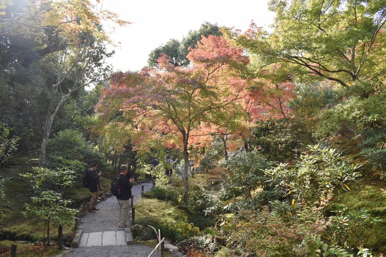 秋の京都・嵐山の天龍寺_百花苑の紅葉