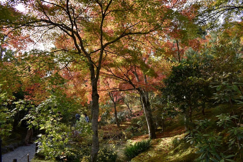 秋の京都・嵐山の天龍寺_百花苑の紅葉