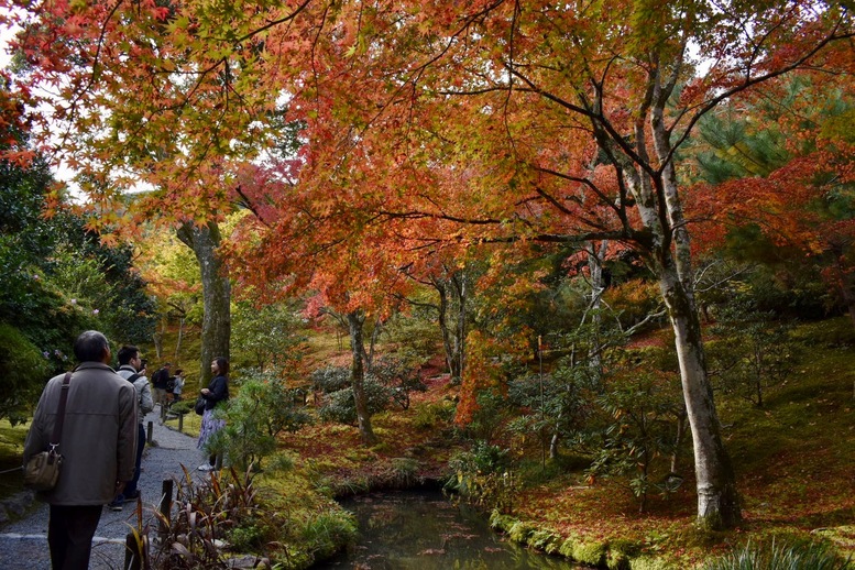 秋の京都・嵐山の天龍寺_百花苑の紅葉