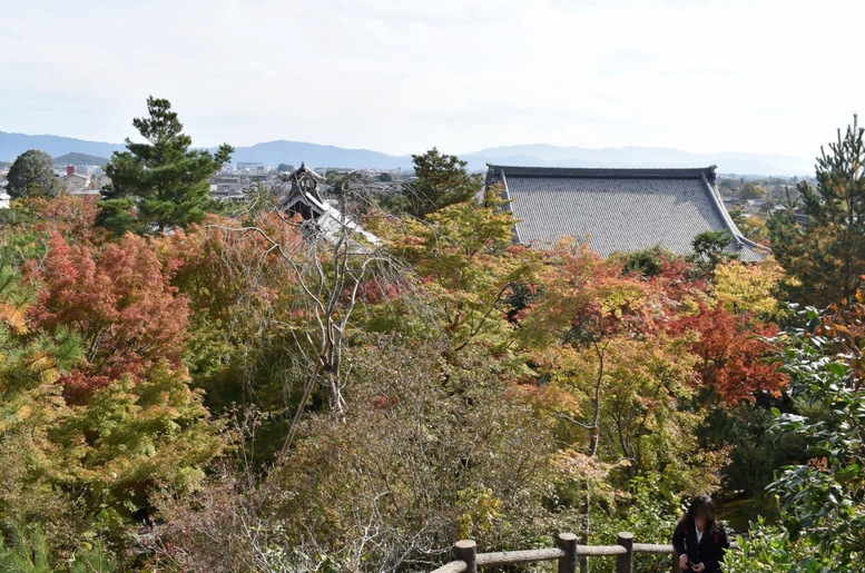 秋の京都・嵐山の天龍寺_百花苑の紅葉