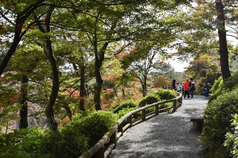 秋の京都・嵐山の天龍寺_百花苑の紅葉