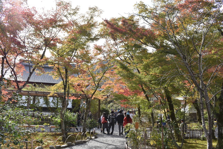 秋の京都・嵐山の天龍寺_百花苑の紅葉