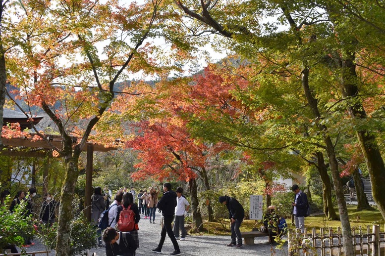 秋の京都・嵐山の天龍寺_百花苑の紅葉