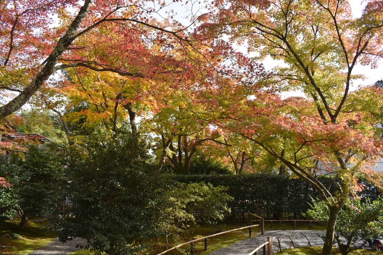 秋の京都・嵐山の天龍寺_百花苑の紅葉