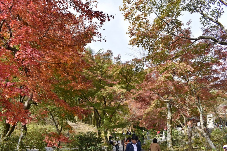 秋の京都・嵐山の天龍寺_百花苑の紅葉