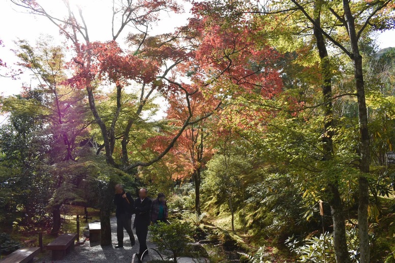 秋の京都・嵐山の天龍寺_百花苑の紅葉