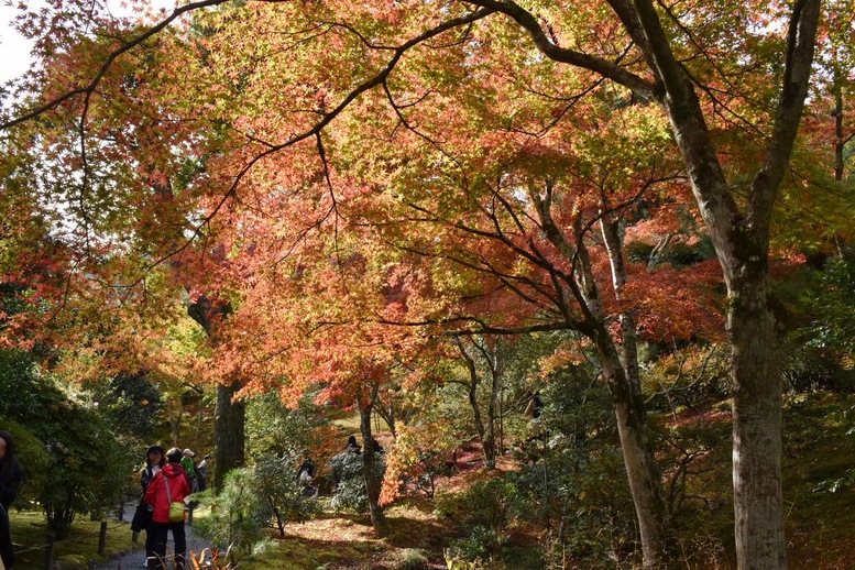 秋の京都・嵐山の天龍寺_百花苑の紅葉