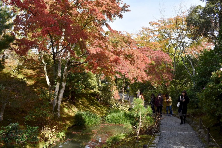 秋の京都・嵐山の天龍寺_百花苑の紅葉