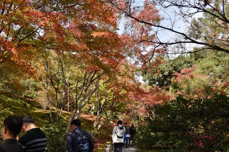 秋の京都・嵐山の天龍寺_百花苑の紅葉