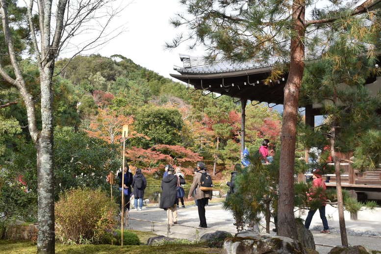 秋の京都・嵐山の天龍寺_曹源池庭園と紅葉