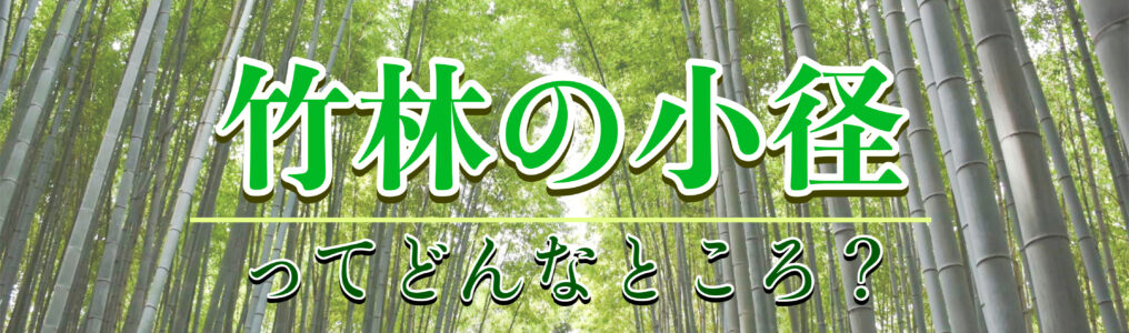 京都・嵐山-竹林の小径の魅力とは？着物で歩きたい観光名所！見どころ・夜のライトアップ・アクセス