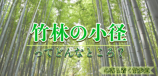 京都・嵐山-竹林の小径の魅力とは？着物で歩きたい観光名所！見どころ・夜のライトアップ・アクセス