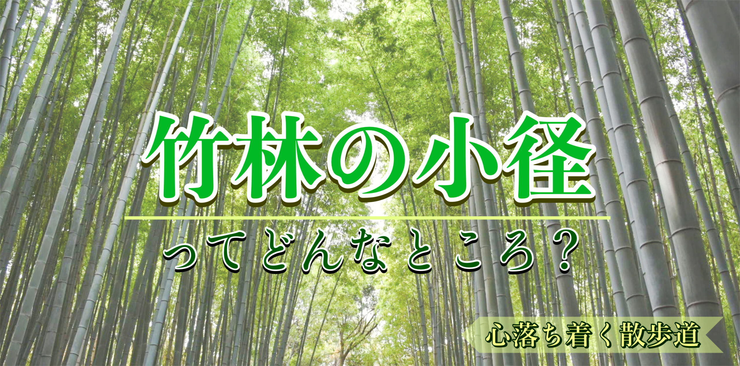 京都・嵐山-竹林の小径の魅力とは？着物で歩きたい観光名所！見どころ・夜のライトアップ・アクセス