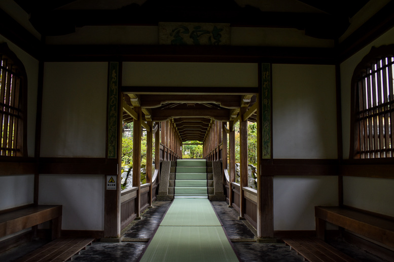 春の京都・嵐山の天龍寺_渡り廊下を撮り隊