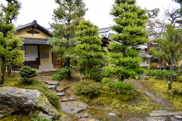 春の京都・嵐山の天龍寺_百花苑の桜と茶室