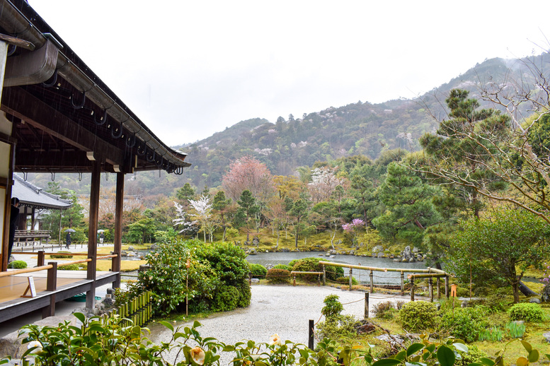 春の京都・嵐山の天龍寺_方丈と曹源池庭園