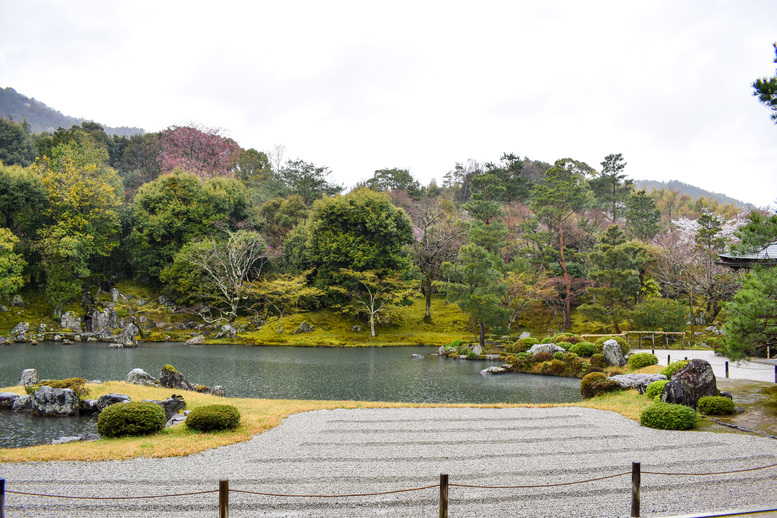 春の京都・嵐山の天龍寺_曹源池庭園と方丈