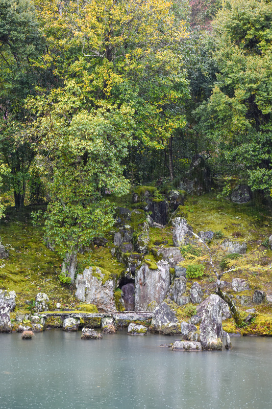 春の京都・嵐山の天龍寺_曹源池庭園と龍門の滝