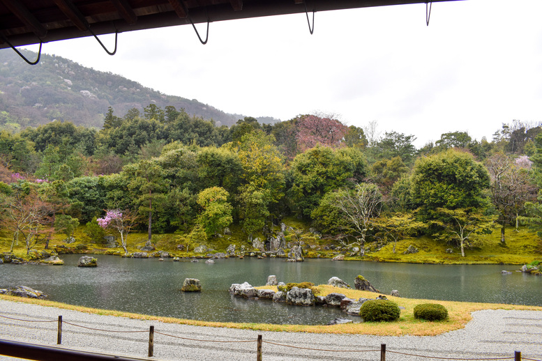 春の京都・嵐山の天龍寺_曹源池庭園と方丈