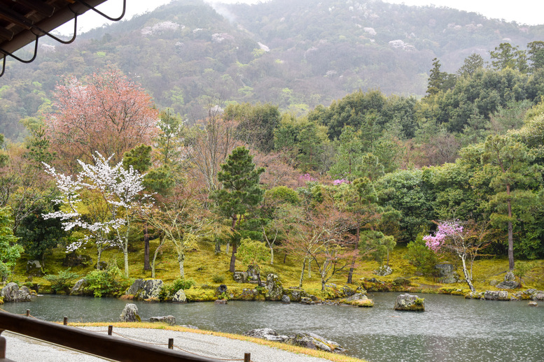 春の京都・嵐山の天龍寺_曹源池庭園と方丈