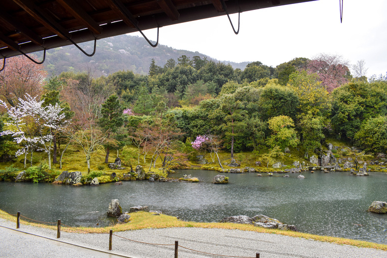 春の京都・嵐山の天龍寺_曹源池庭園と方丈