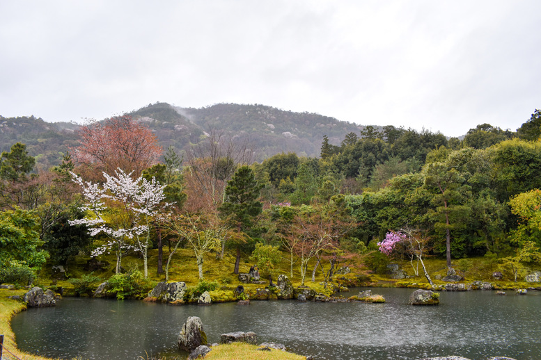 春の京都・嵐山の天龍寺_曹源池庭園