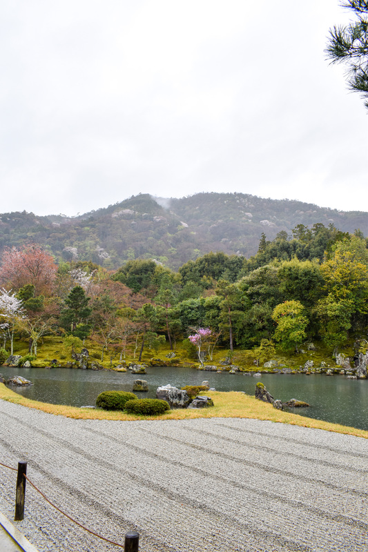 春の京都・嵐山の天龍寺_曹源池庭園
