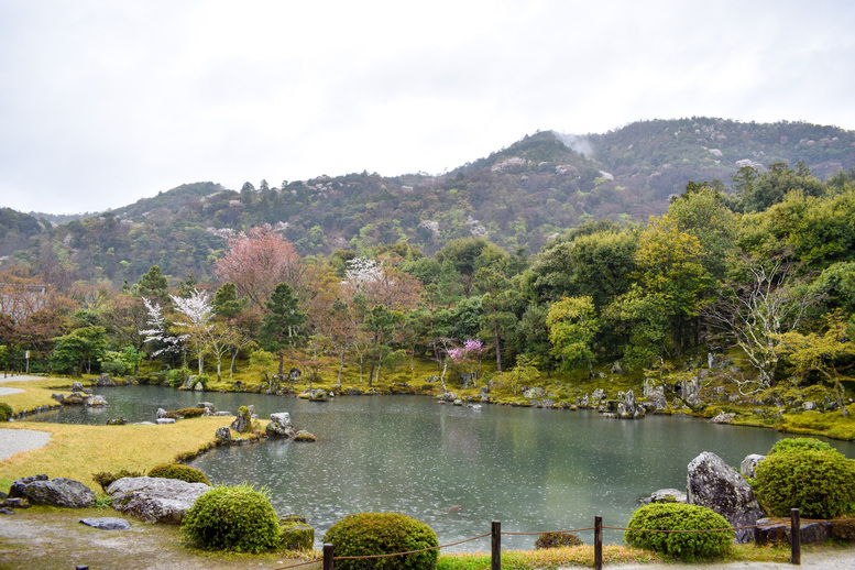 京都・嵐山の天龍寺_曹源池庭園と春