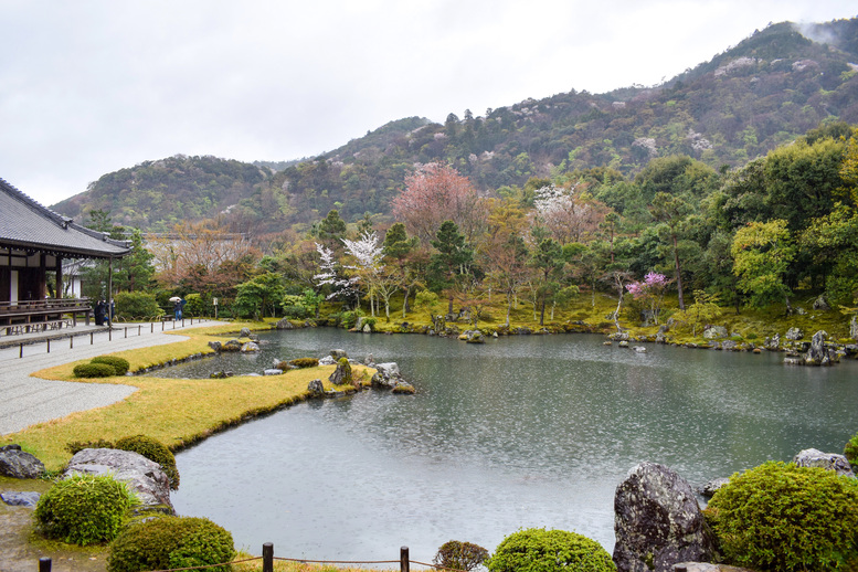 京都・嵐山の天龍寺_曹源池庭園と春