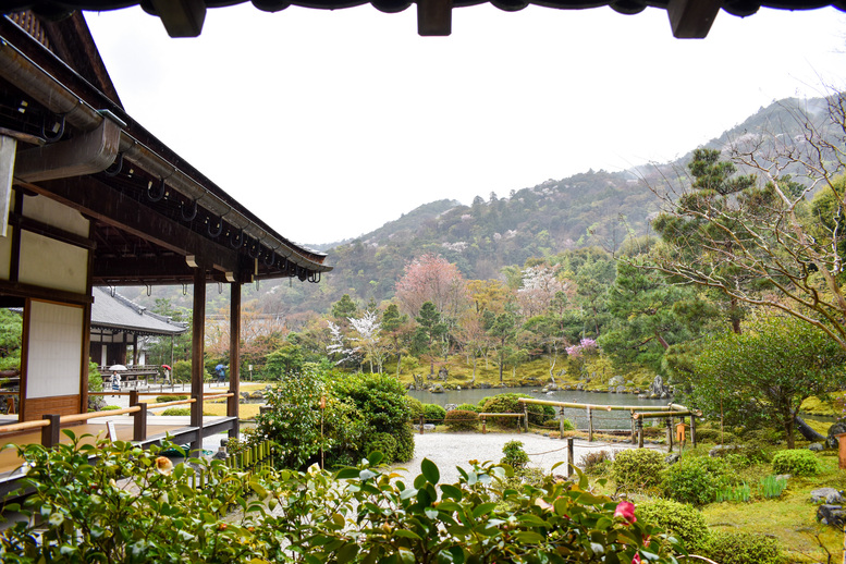 春の京都・嵐山の天龍寺_方丈と曹源池庭園