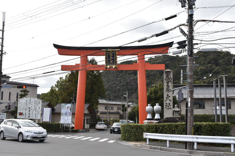 京都初詣_オススメの見どころ_松尾大社