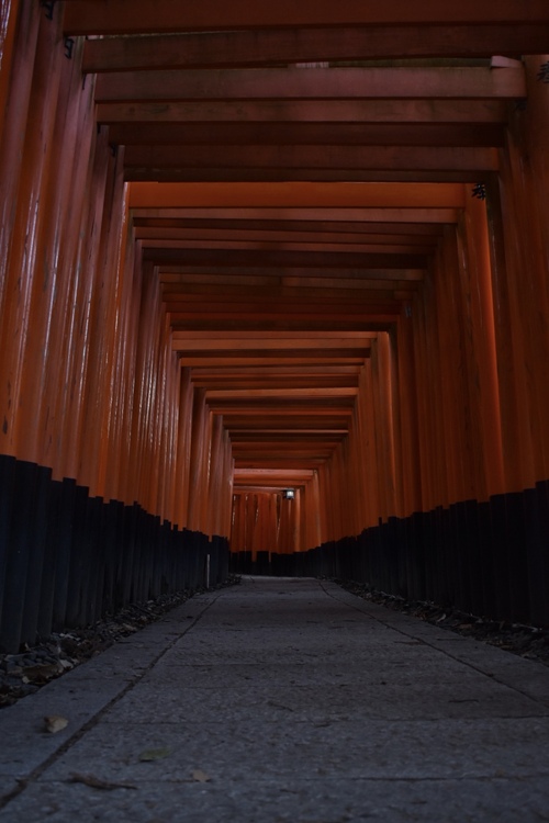 京都初詣_オススメの見どころ_伏見稲荷と千本鳥居