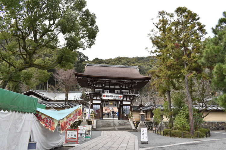 京都初詣_オススメの見どころ_松尾大社