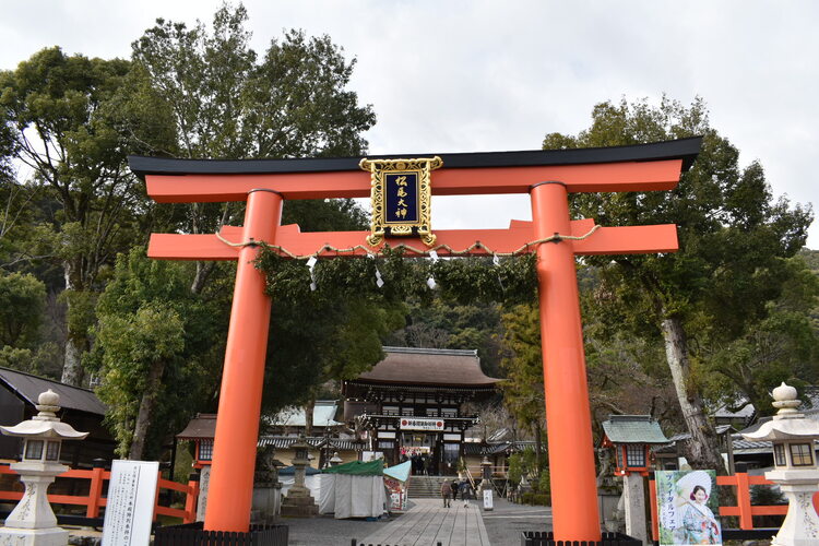 京都初詣_オススメの見どころ_松尾大社