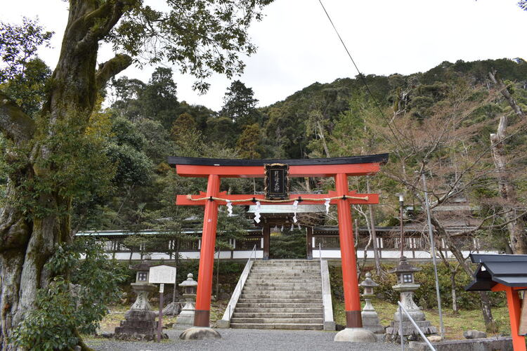 京都初詣_オススメの見どころ_松尾大社の月読神社