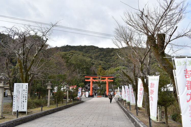 京都初詣_オススメの見どころ_松尾大社