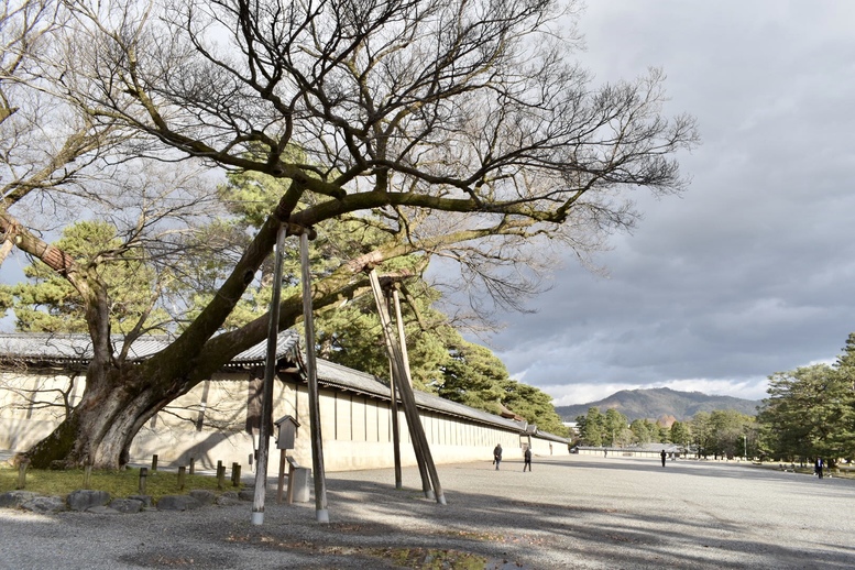 京都初詣_オススメの見どころ_京都御苑